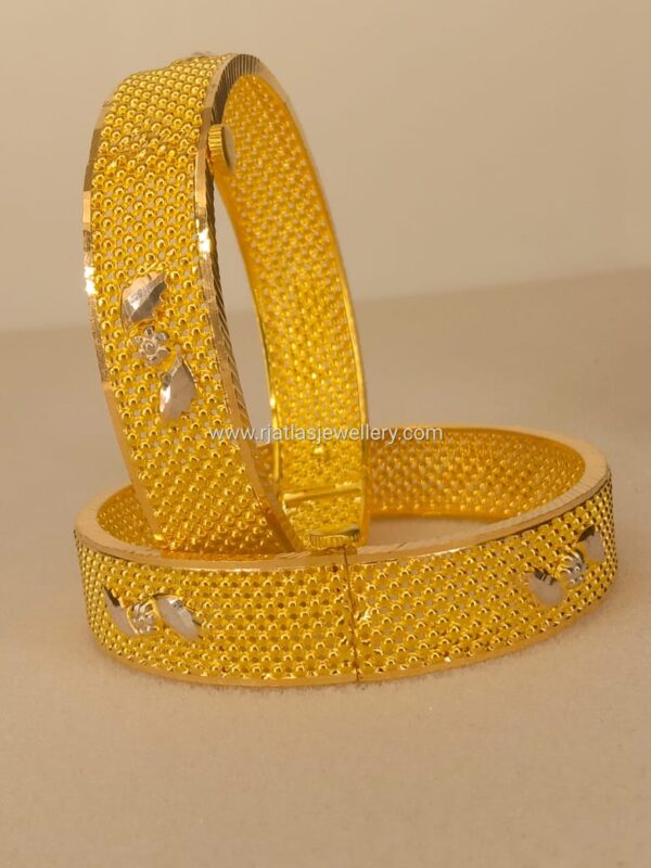 BANGLE 101