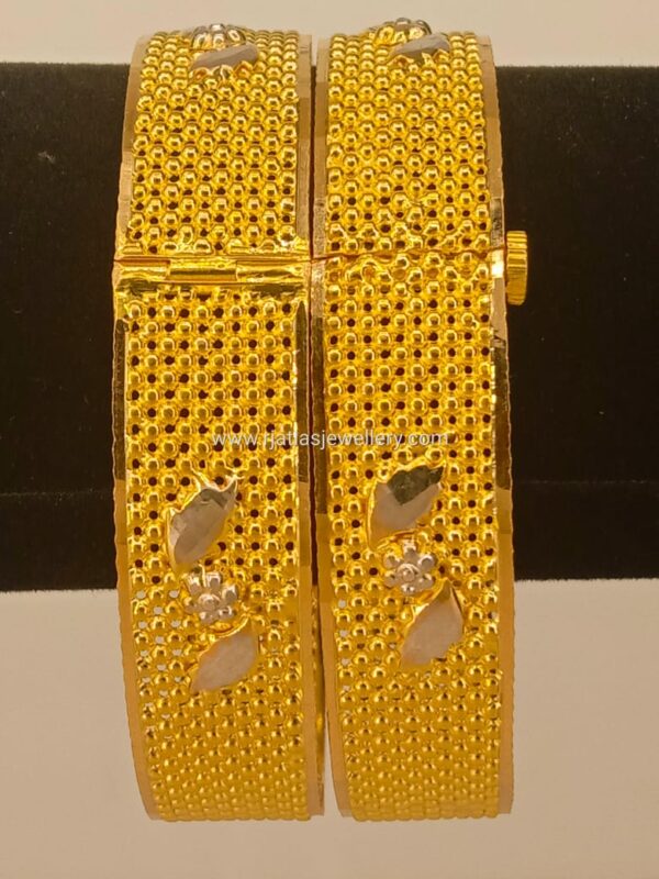 BANGLE 101 - Image 2